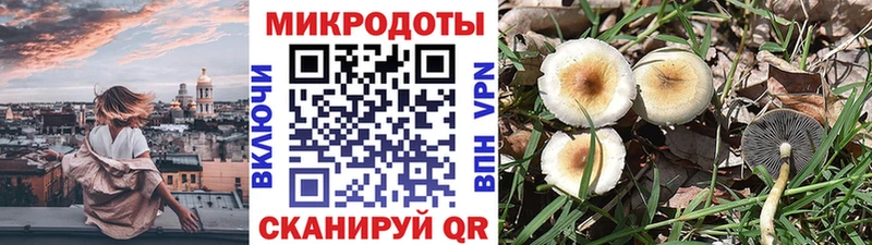 Псилоцибиновые грибы MAGIC MUSHROOMS  Устюжна 