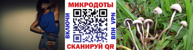 Псилоцибиновые грибы ЛСД Устюжна